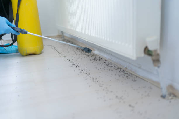 Pest Control Cost in Alvin, TX
