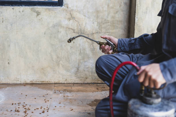 Best Pest Control Treatment  in Alvin, TX